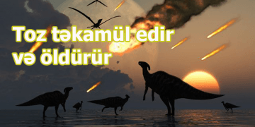 Təkamül