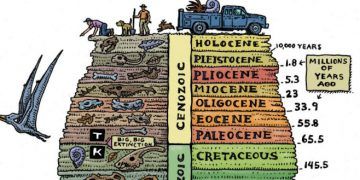 Anthroposen