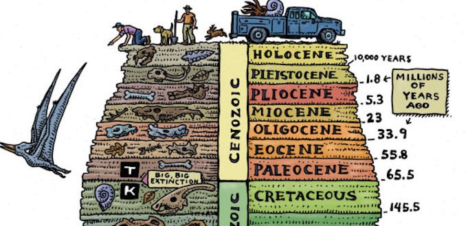 Anthroposen