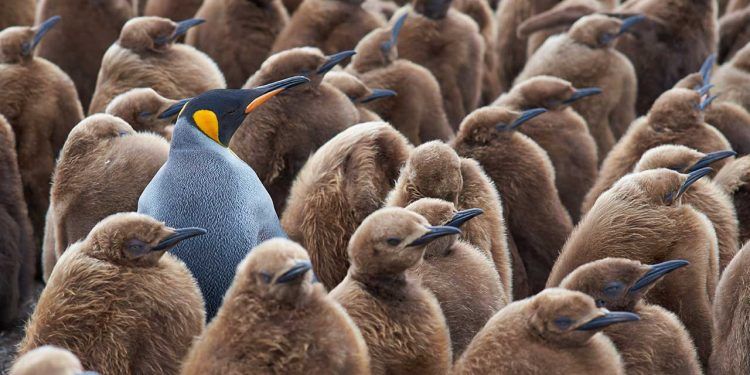 Individualism