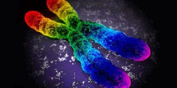 WhatsApp Image 2018 11 09 at 15.15.50 720x490