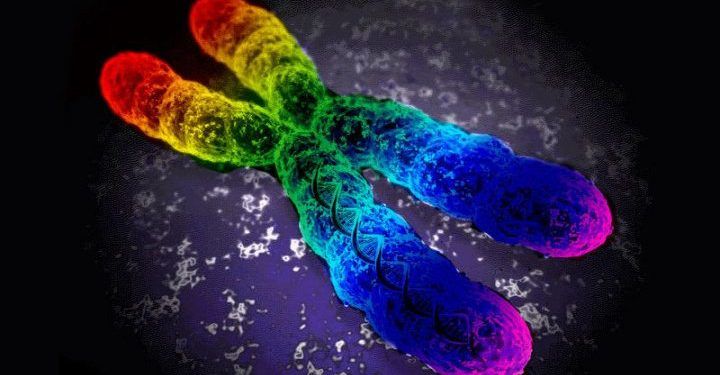 WhatsApp Image 2018 11 09 at 15.15.50 720x490