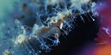 Acfcf318aa08dc2248ba152cd42ce3b2