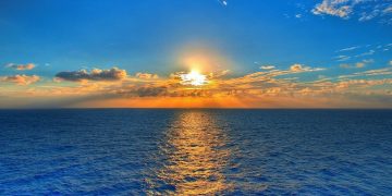 1ebe9572 e4cd 409b 8ee6 9363ca303dae