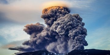 825c939ed3e8f5731bfe6f5becd14d5e XL