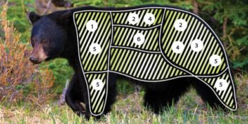 Cf502123c1928e472edd62ae8b16540a