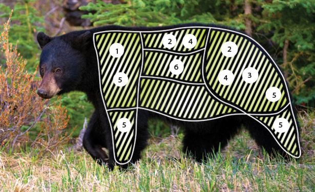 Cf502123c1928e472edd62ae8b16540a