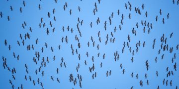 5DACA434 4161 4B63 893E 2D9C2DE4C5AD min