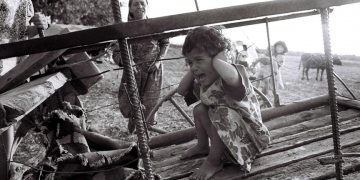 Thumbs b c 2eef2861645e4c50553abfc32e8372eb