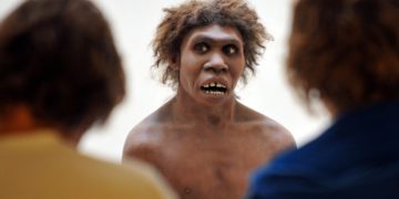 12 7 neanderthal man