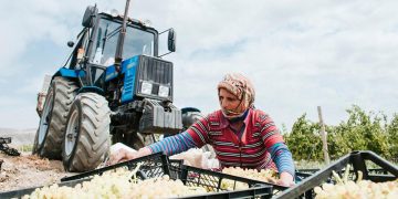 1542016095 45860100 1982512211806883 2755672766827986944 n