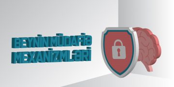 WhatsApp Image 2020 06 23 at 21.41.57