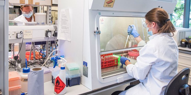 Image1170x530cropped