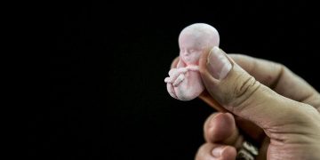 Ezgif 1 c9a433a19649