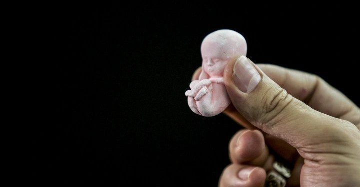 Ezgif 1 c9a433a19649