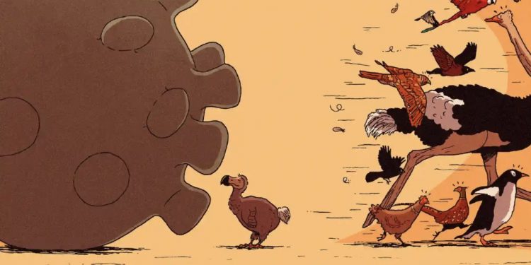 Koronavirus – sərbəstliyə və qaydaları pozmağa öyrəşənlərin məğlubiyyəti