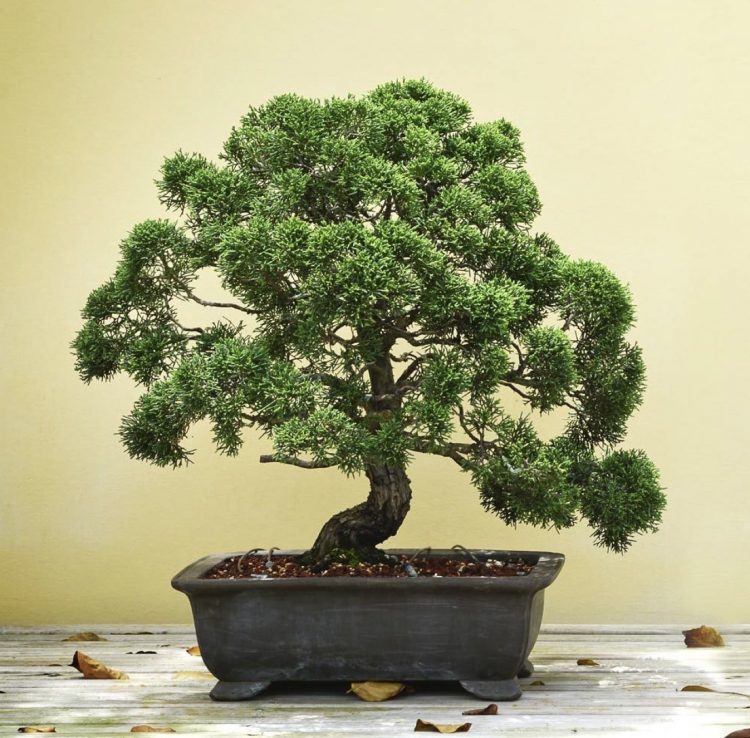 Bildschirmfoto 2021-02-17 um 08.16.12