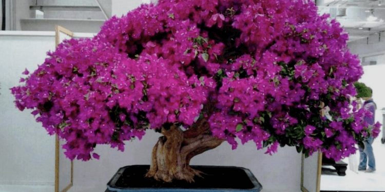 Bildschirmfoto 2021 02 17 um 08.17.02