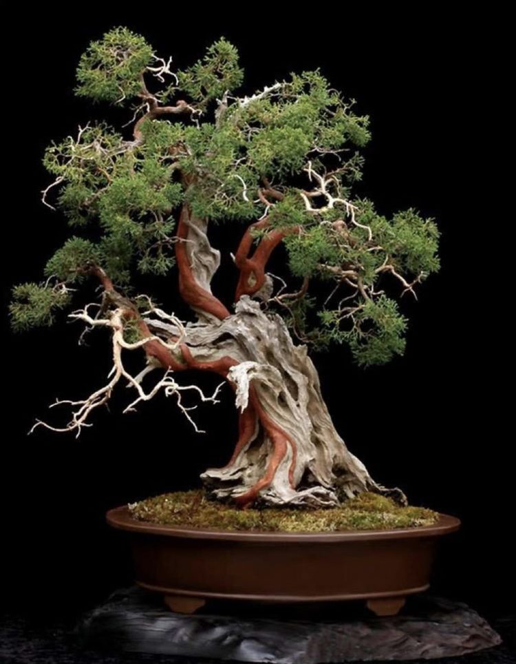 Bildschirmfoto 2021-02-17 um 08.17.14