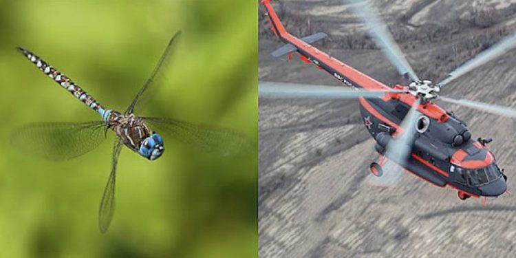 Bildschirmfoto 2021 02 26 um 07.09.47