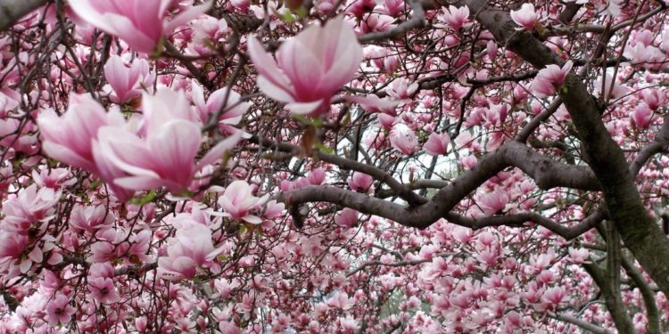 Bildschirmfoto 2021 03 16 um 08.48.06