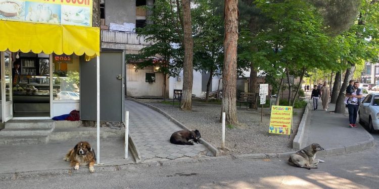 344299258 1732660937189678 477290732747053219 n